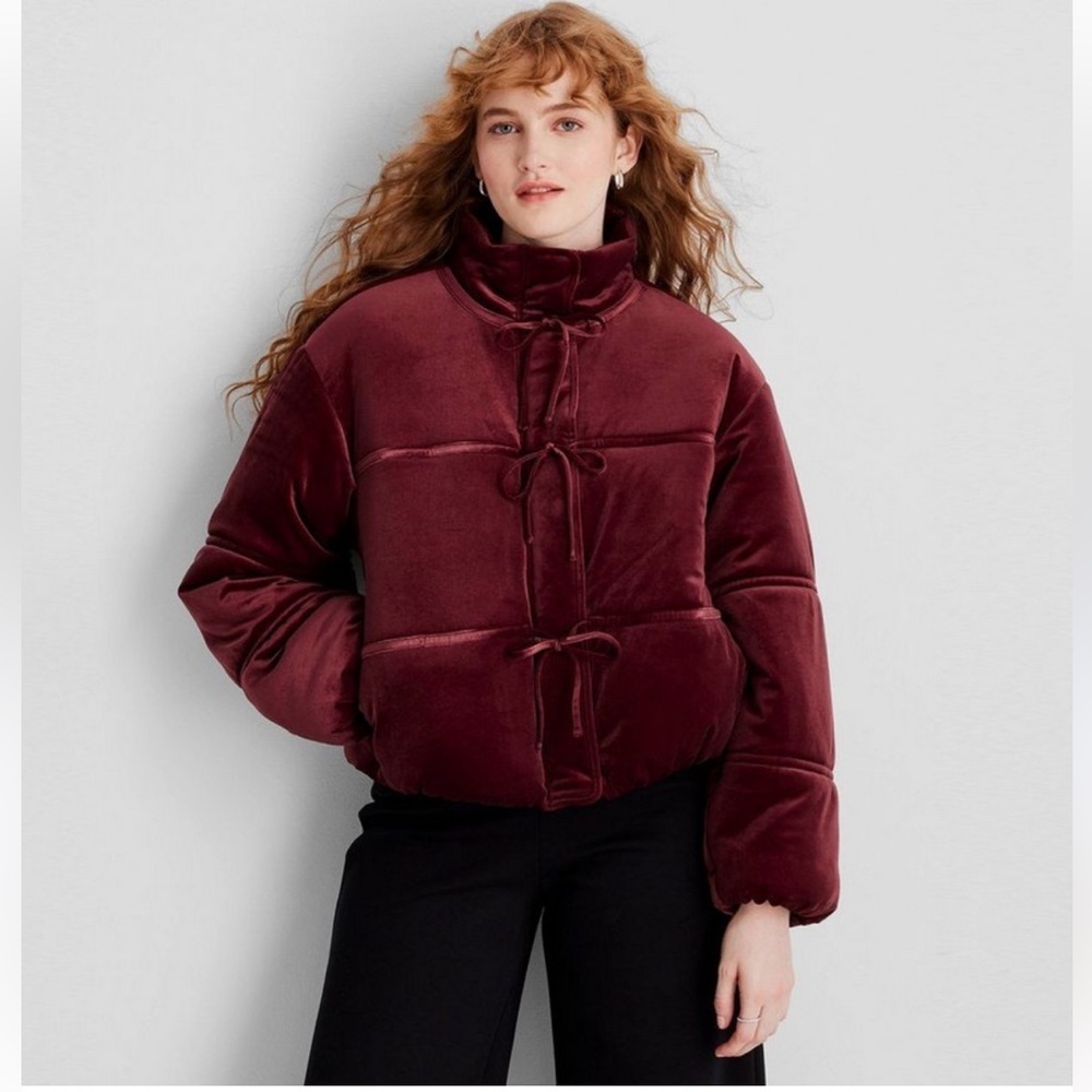 Luxurious Future Collective Red Velvet Puffer Jacket with High Collar